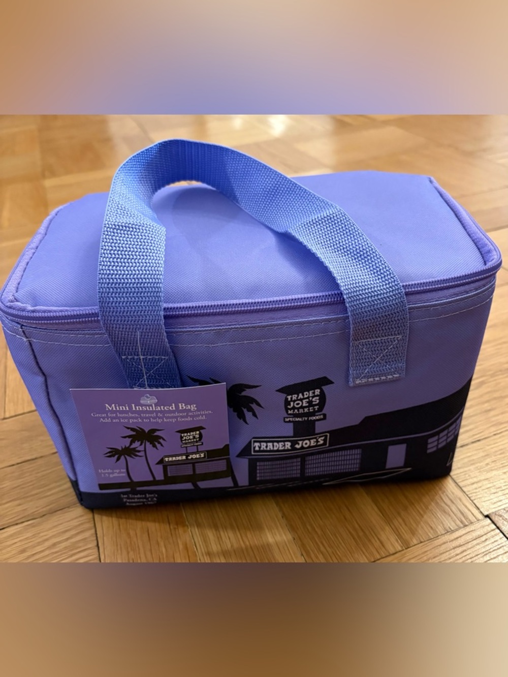 Trader Joe’s Mini Insulated Bag - Purple